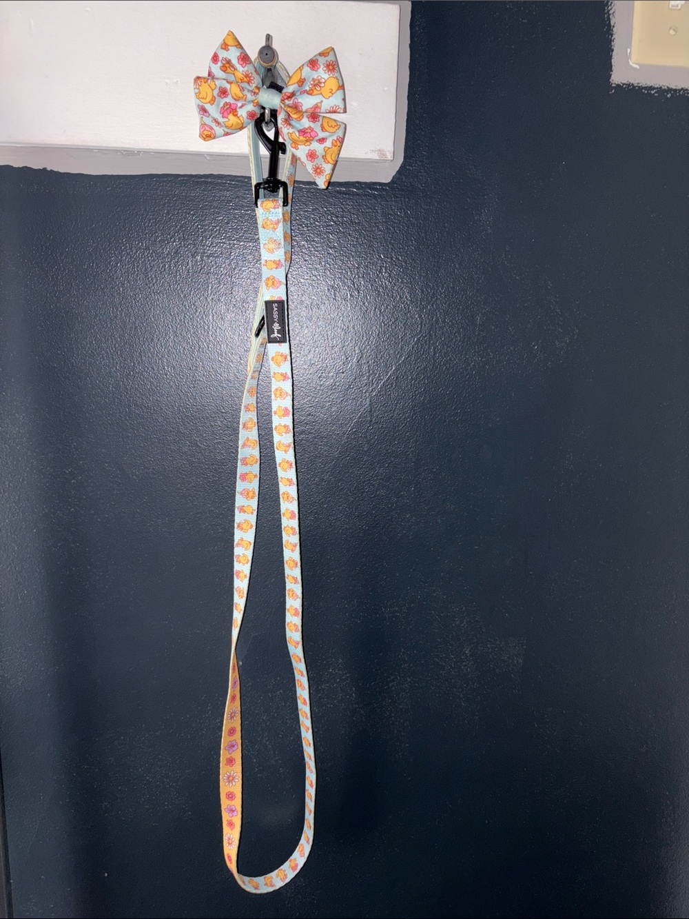 Sassy woof dog leash and bow